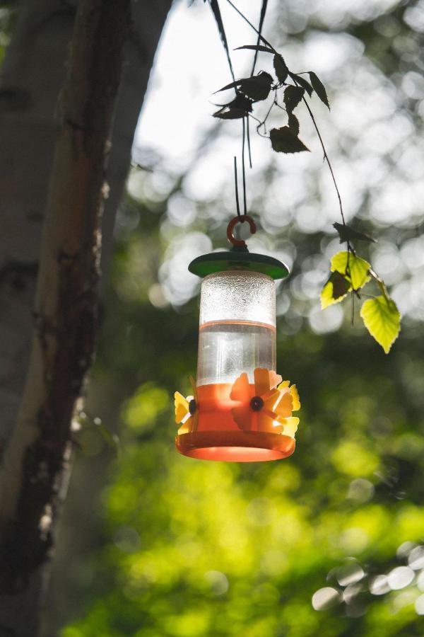 El Colibri Cabanas De La Naturaleza Trelew Exterior photo